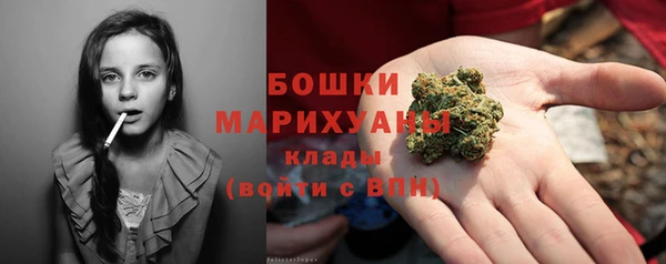ПСИЛОЦИБИНОВЫЕ ГРИБЫ Медногорск