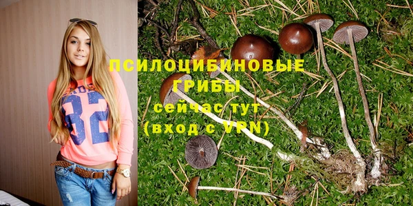 ПСИЛОЦИБИНОВЫЕ ГРИБЫ Медногорск