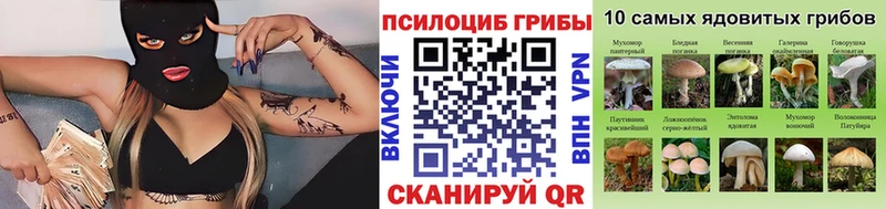 Галлюциногенные грибы мицелий  Чердынь 